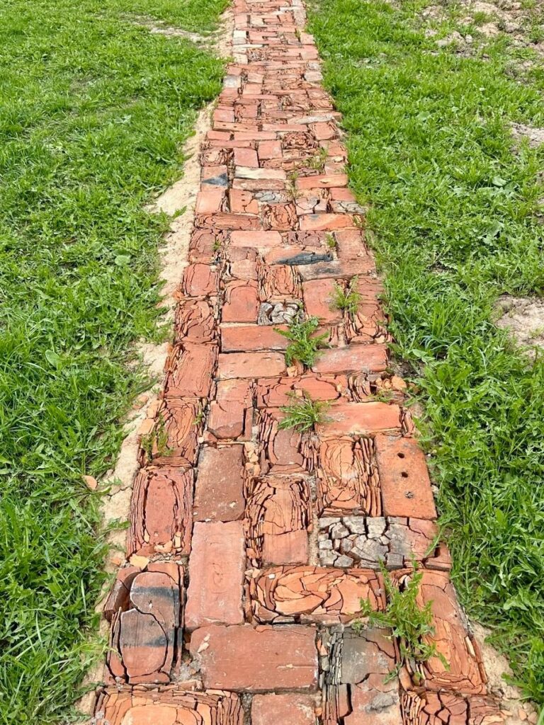 image_1